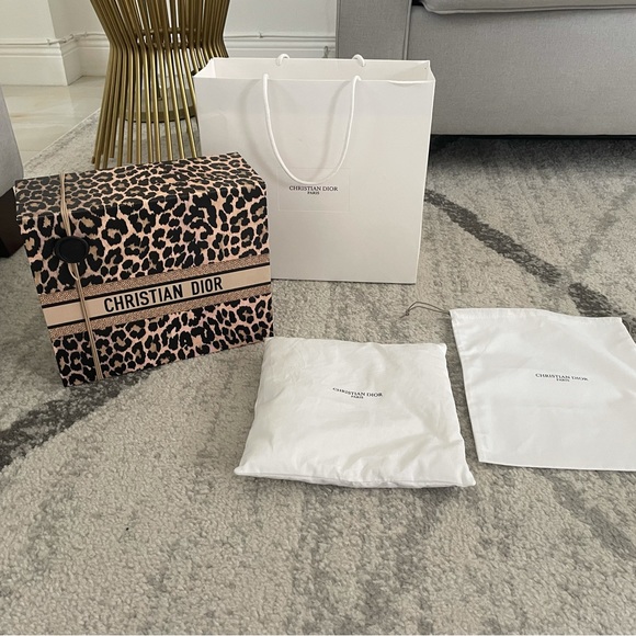 Authentic Christian Dior Bag, Magnetic Box, Dustbag and Pillow - Picture 1 of 7